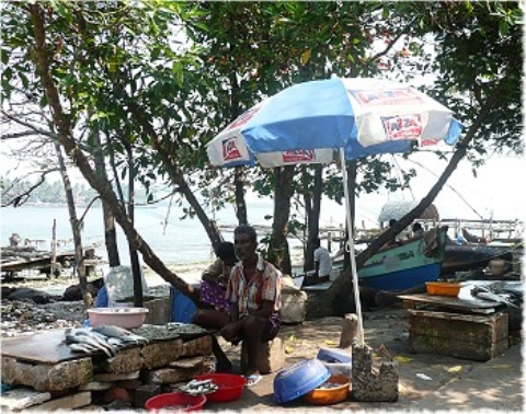Images/cochin 668.jpg